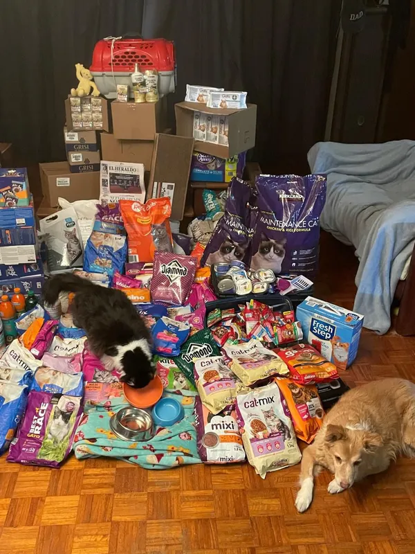 Gran colecta de alimento y suministros