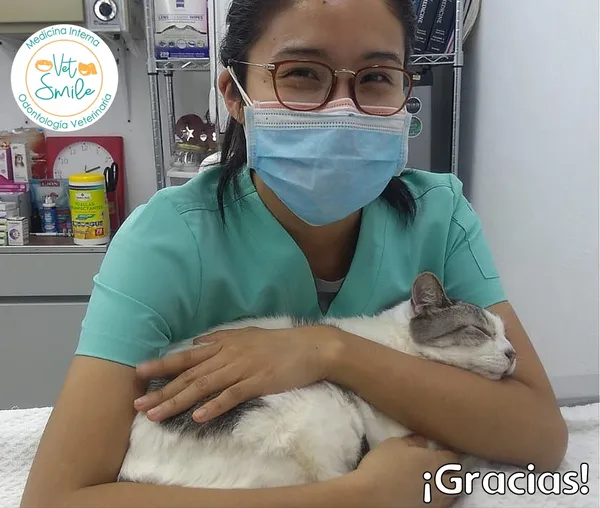 VetSmile con gato rescatado