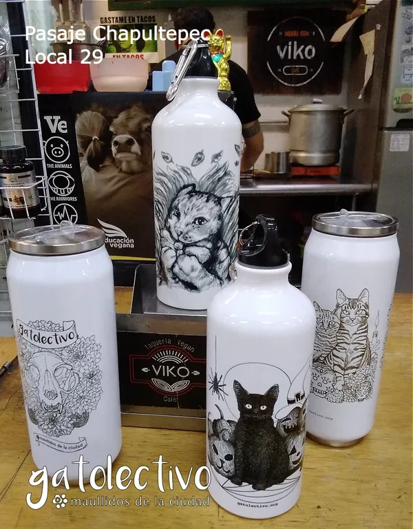 Gatitos bebé en recuperación