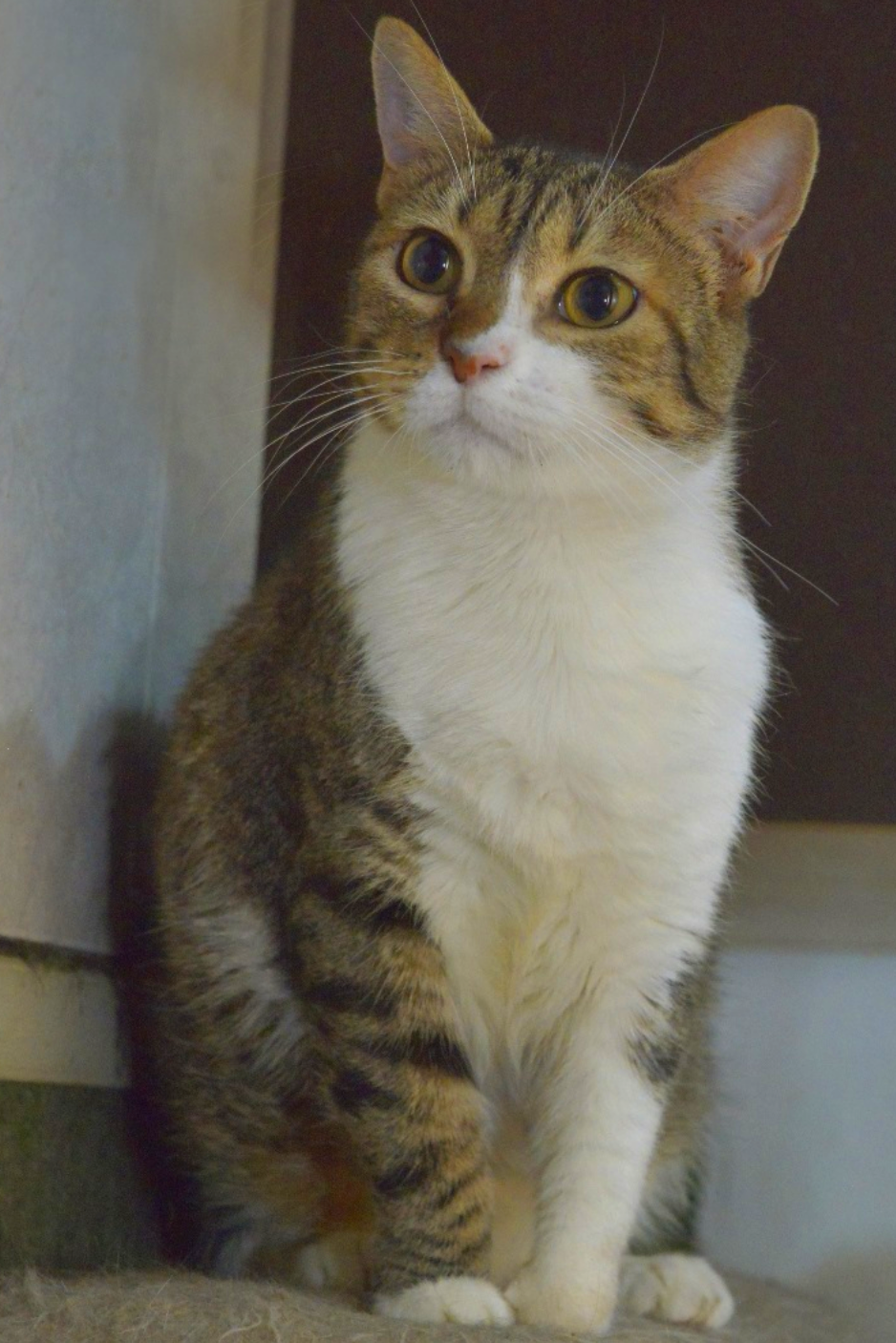 Jon Von Jon - Foto 2