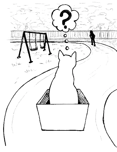 Gato abandonado en una caja