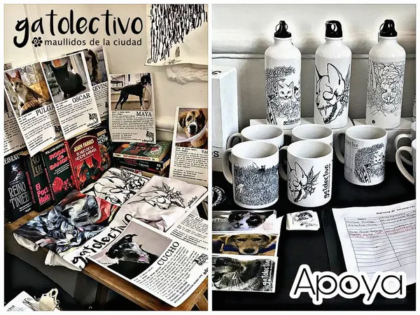 Artículos con causa Gatolectivo