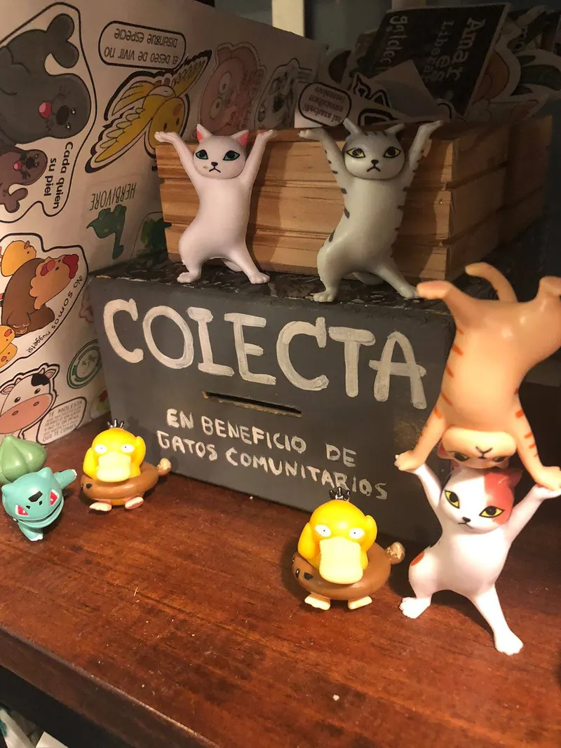Colecta en beneficio de gatos comunitarios