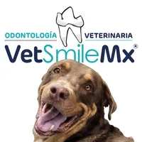 VetSmileMx